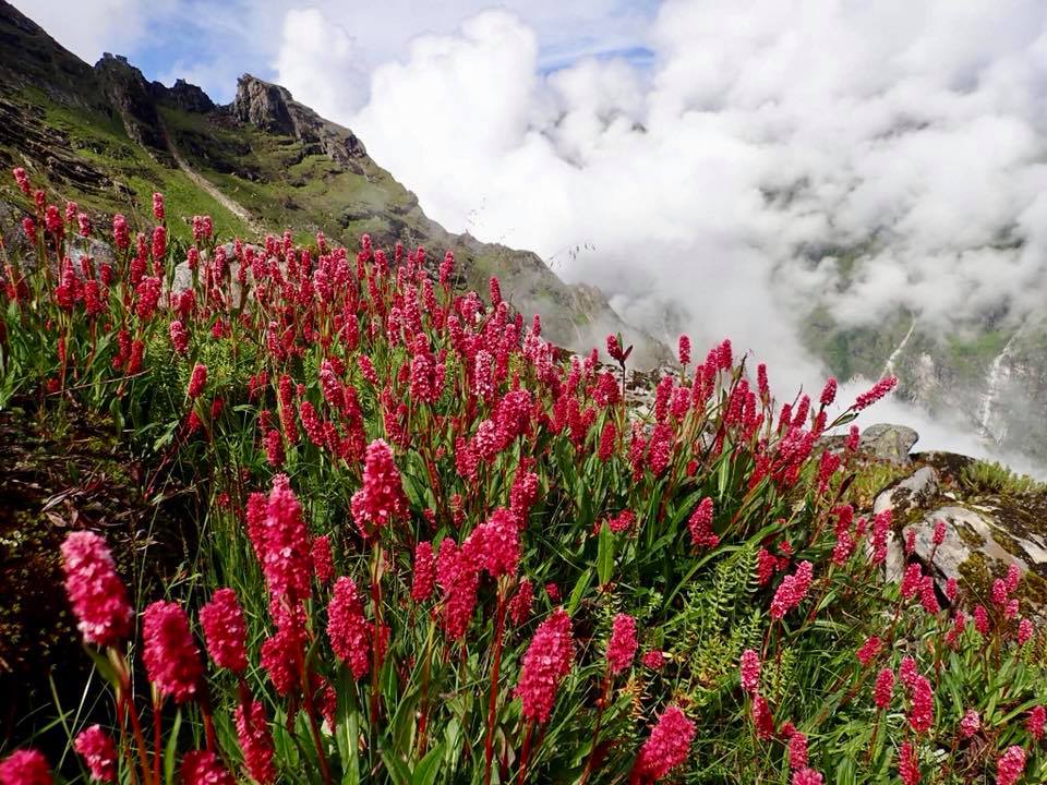 39057683_10156921461457214_1922062259404668928_n