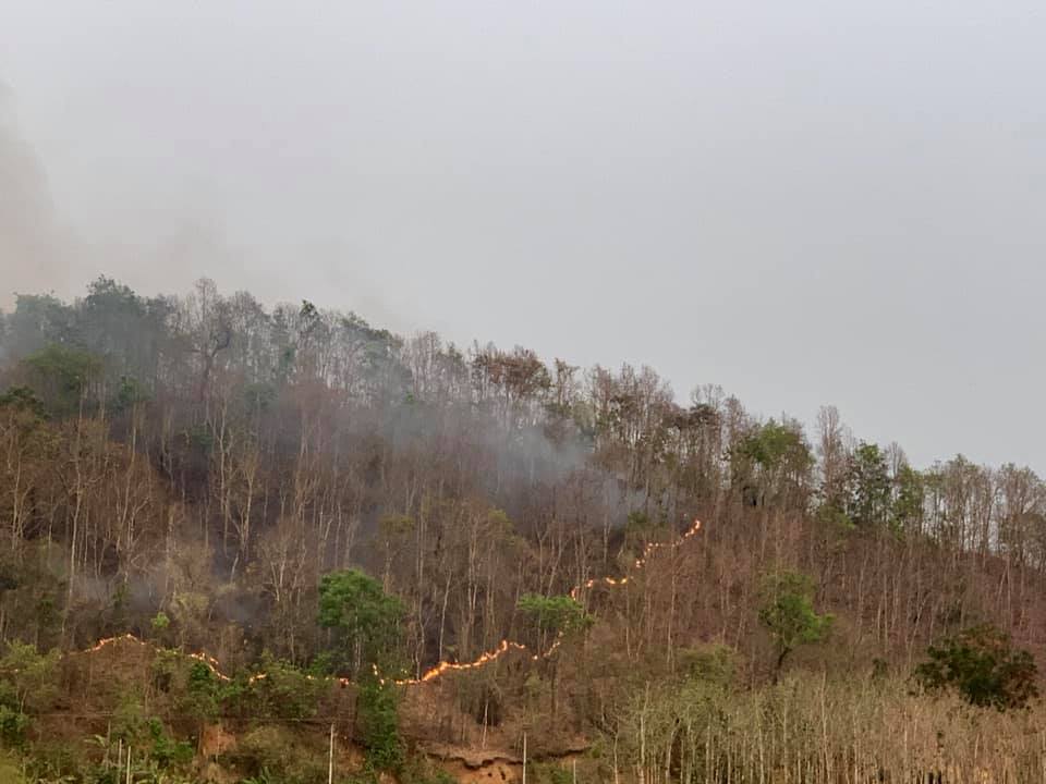 56472493_10157508833617214_3984358224680714240_n